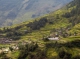 Medicinal plants help Nepal’s mountain communities
